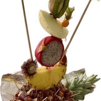 ERIZO DE PIÑA